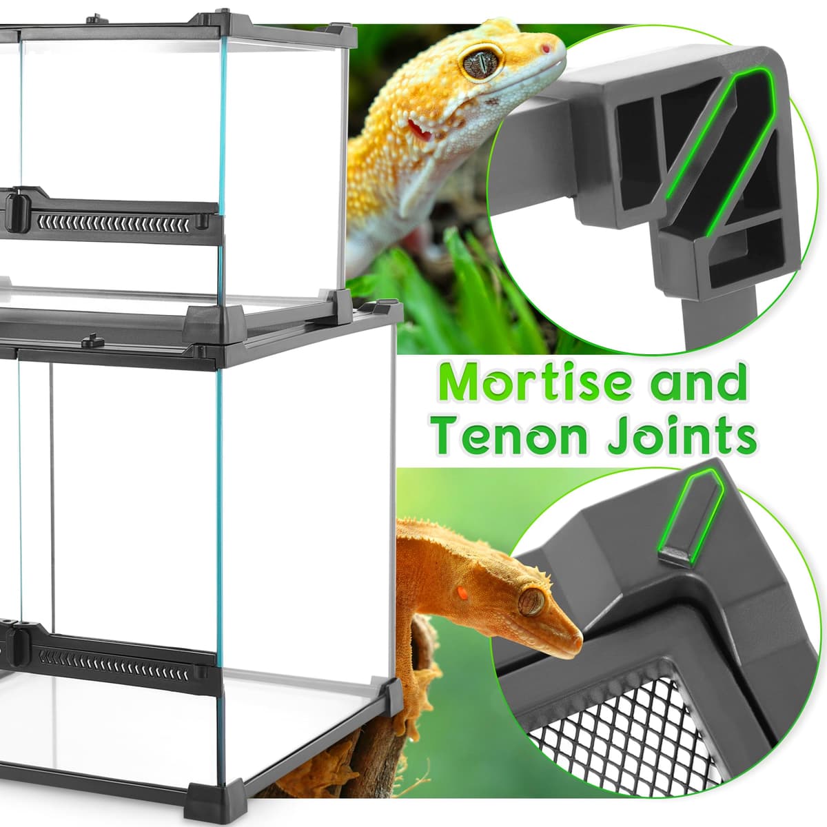 NEPTONION Mini Reptile Glass Terrarium 12"x8"x8" Durable Reptile Habitat Tank with Heat Resistant Aluminum Alloy Frame, Double Swinging Doors for no Jam by Sand and Other Debris — view 2