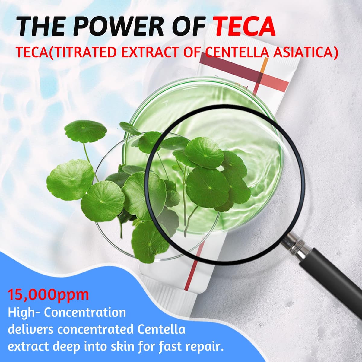 2 PCS Centella Time Reverse Moisturizing Repairing Face Cream, Centella Asiatica Revitalizing Firming Cream for Reducing Lines, Moisturizing, Evening Tone — view 6