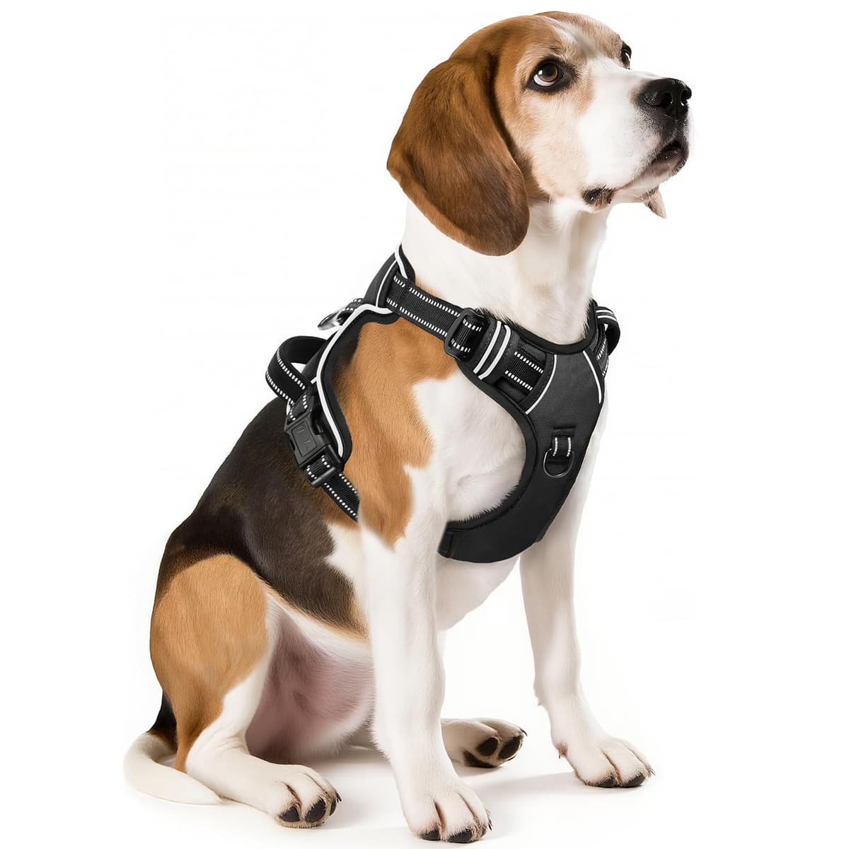 HEELE Arnés Reflectante para Perro, con Control de Mango Acolchado, 2 Anillos de Metal, arnés para Perros pequeños, medianos y Grandes, Flores-Negro, L — view 14