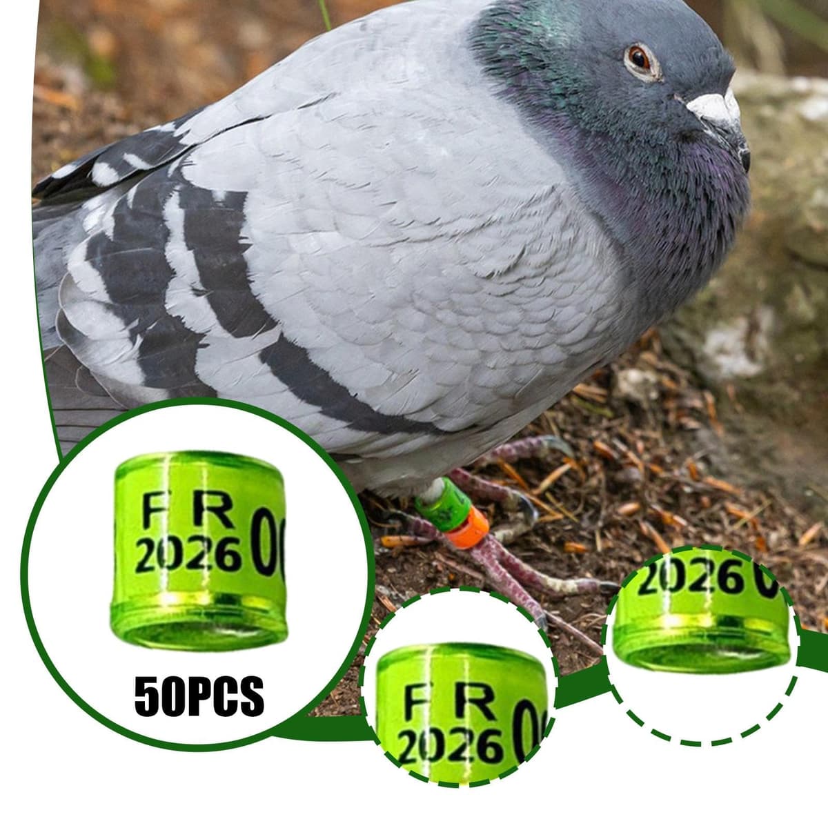 Sharplace 50 Piezas Anillas para Palomas Bandas Identificadoras para Patas de Pájaros Anillos Reutilizables para Control de Aves Material de Aluminio Y Plástico, Verde Claro — view 2