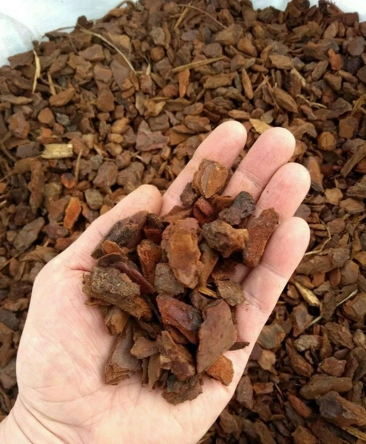UK GROW Retile Bark Bedding - 30L Forest Terrain Orchid Bark Chips Natural Terrain for Reptiles, Orchid Bark Chips (30L)