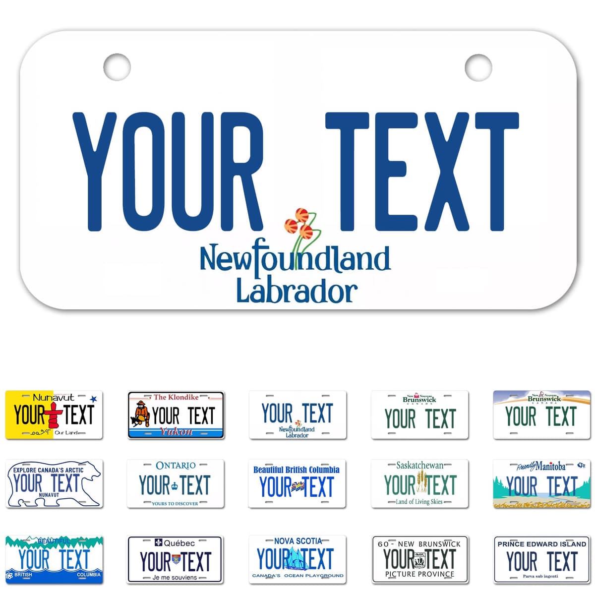 Alberta License Plate, 6"×12" Custom License Plate — view 18