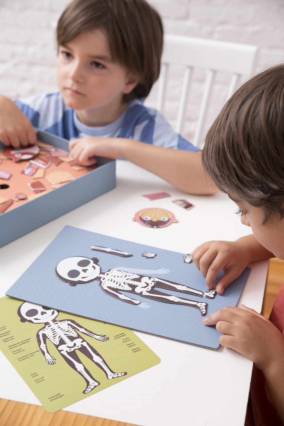 APLI Kids 18531 - Juego Magnético Educativo sobre el Cuerpo Humano para niños a Partir de 5 años — view 4