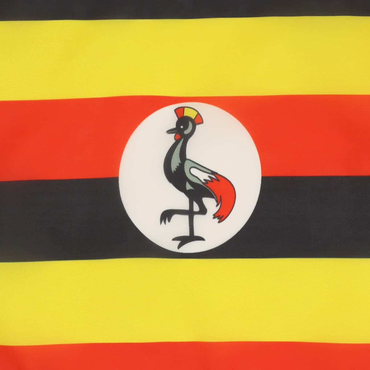 AZ FLAG Bandera de ESPAÑA SIN Armas 45x30cm - BANDERINA ESPAÑOLA SIN Escudo 30 x 45 cm cordeles — view 239