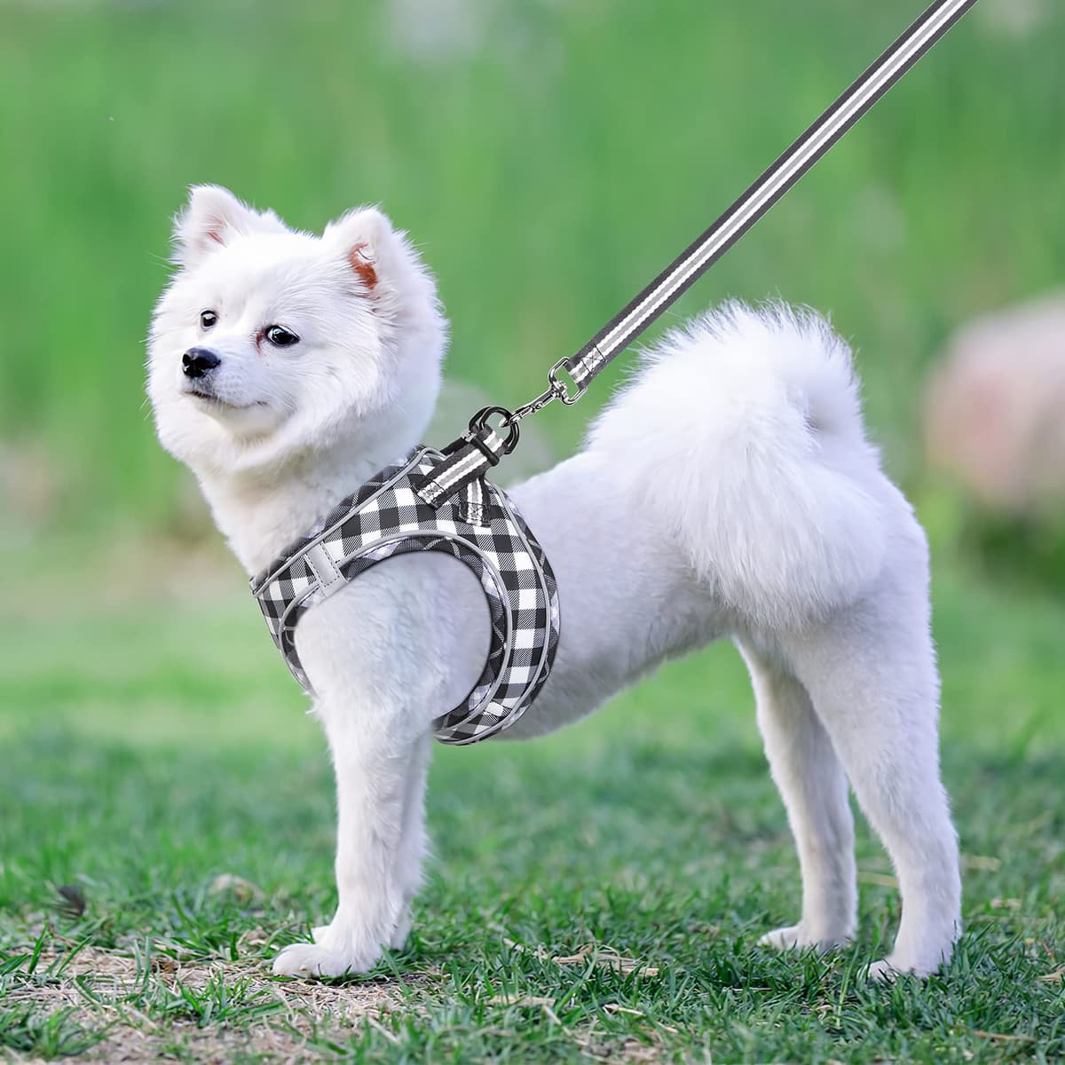 HEELE Arnes Perro Pequeño con Lineas Reflecantes Arnés Perro Antitirones Ajustable Suave Acolchado Cómodo para Viajar Pasear con Mascota, Flores Nanranja, S — view 30
