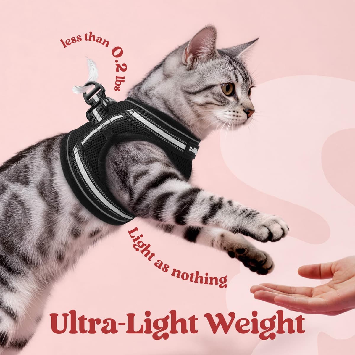 rabbitgoo Cat Harness and Leash Set for Walking Escape Proof, Adjustable Soft Kittens Vest with Reflective Strip for Cats, Comfortable Outdoor Vest, Black, Small — view 6