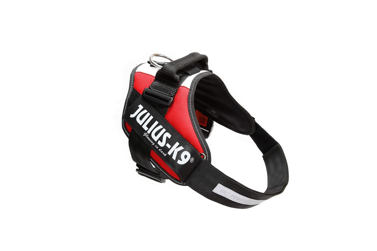 Julius-K9, 16IDC-AM-M, IDC Powerharness, dog harness, Size: Mini, Aquamarine — view 262