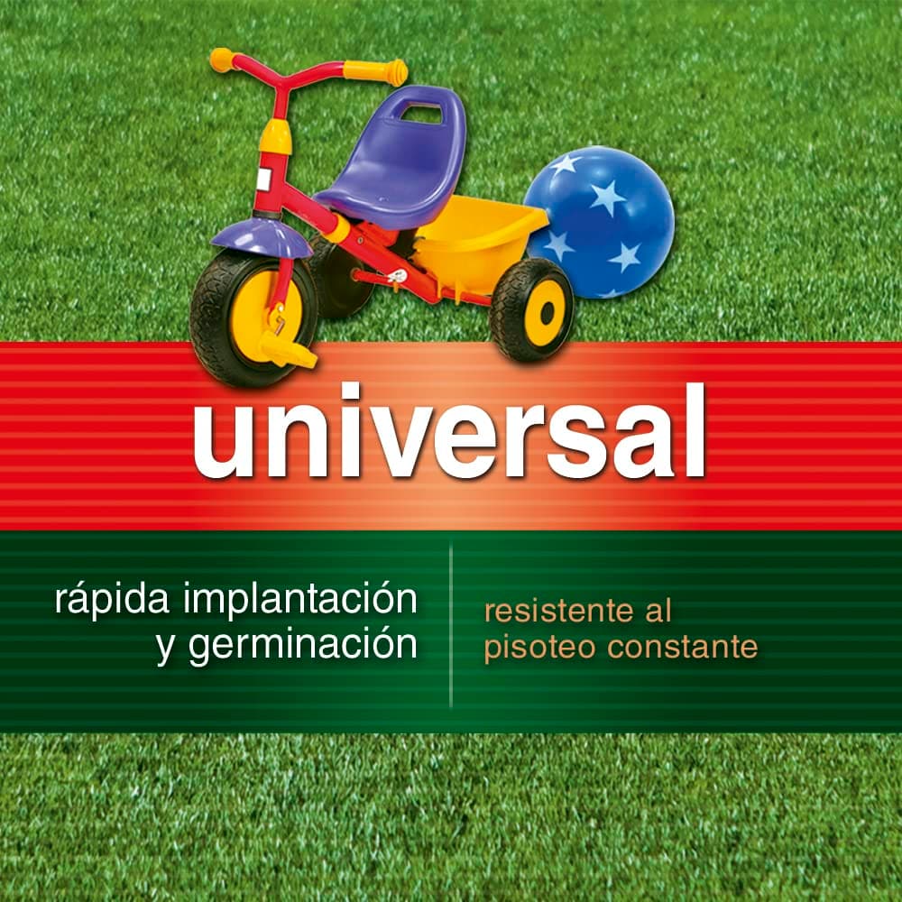 Flower - Semillas de Césped Universal 1kg | Rápida Germinación | Máxima Calidad | Para 35 m2, 16x16x16.5 cm, Material Semilla — view 3