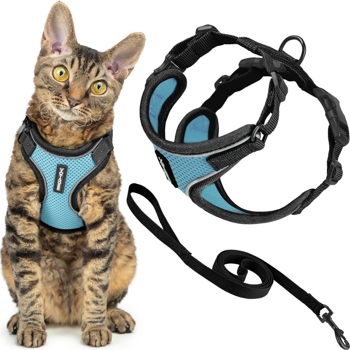 Best Pet Supplies Voyager Step-in Lock Pet Harness – All Weather Mesh, Adjustable Step in Harness for Cats and Dogs Turquoise (Matching Trim), XL (Chest: 22-36") — view 100