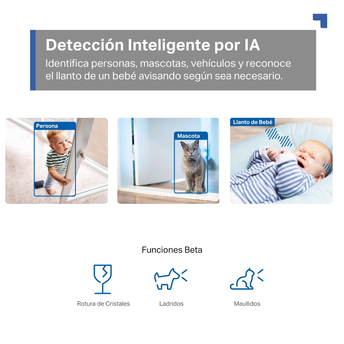 Tapo C230 - IA Cámara Vigilancia 360°, 3K 5MP, Alarma Sonora/Luz, Visión Nocturna, Audio Bidireccional, AI Detección Movimiento, Control Google/Alexa, Tarjeta SD hasta 512G, Fácil configuración — view 4