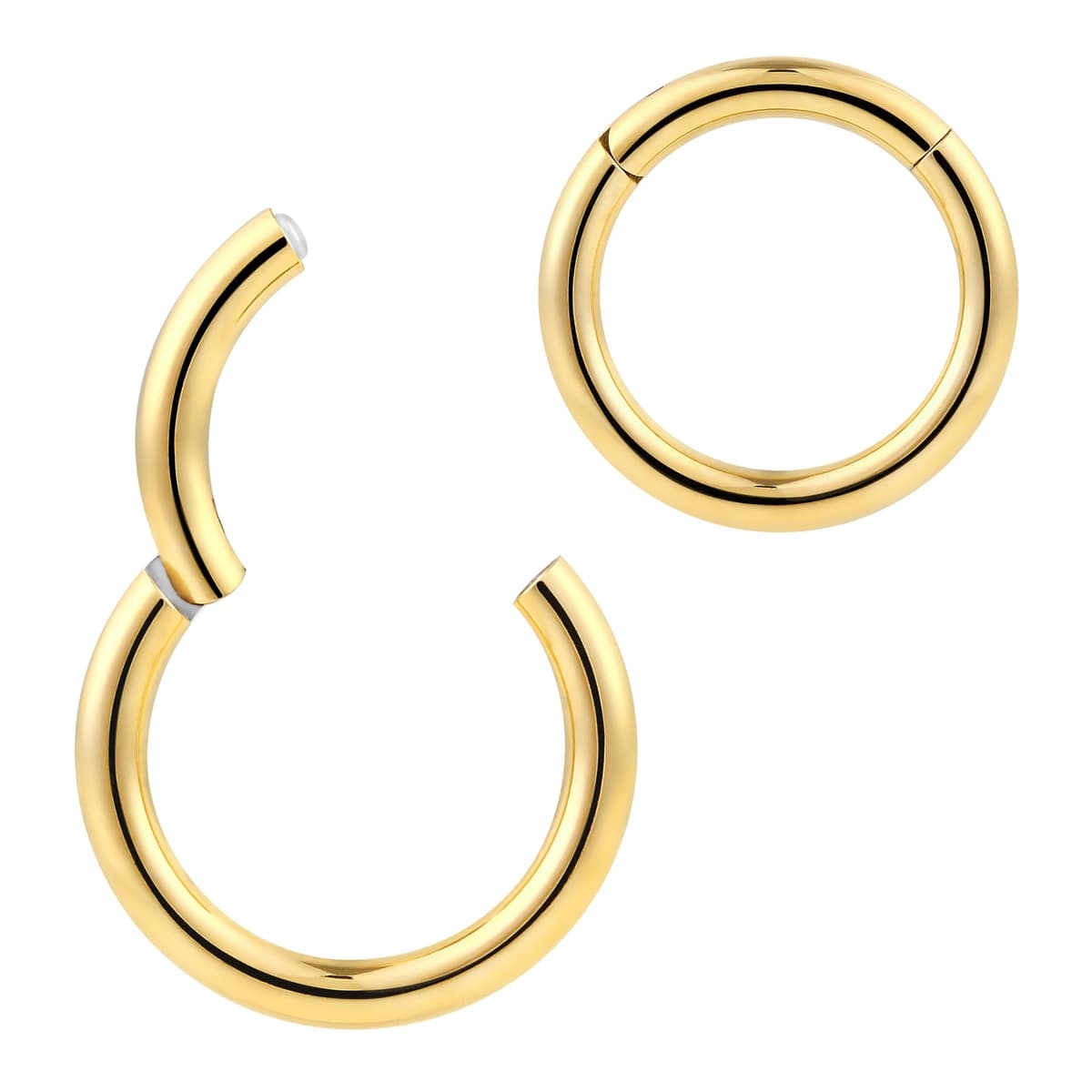 365 SLEEPERS 1pc Titanium Implant Grade Nose Rings 20G 18G 16G 14G 12G 10G 8G 6G Septum Hinged Segment Ring Body Piercing Jewellery Hoop Lip Rings Helix Cartilage Rook Earrings Nickel Free — view 11