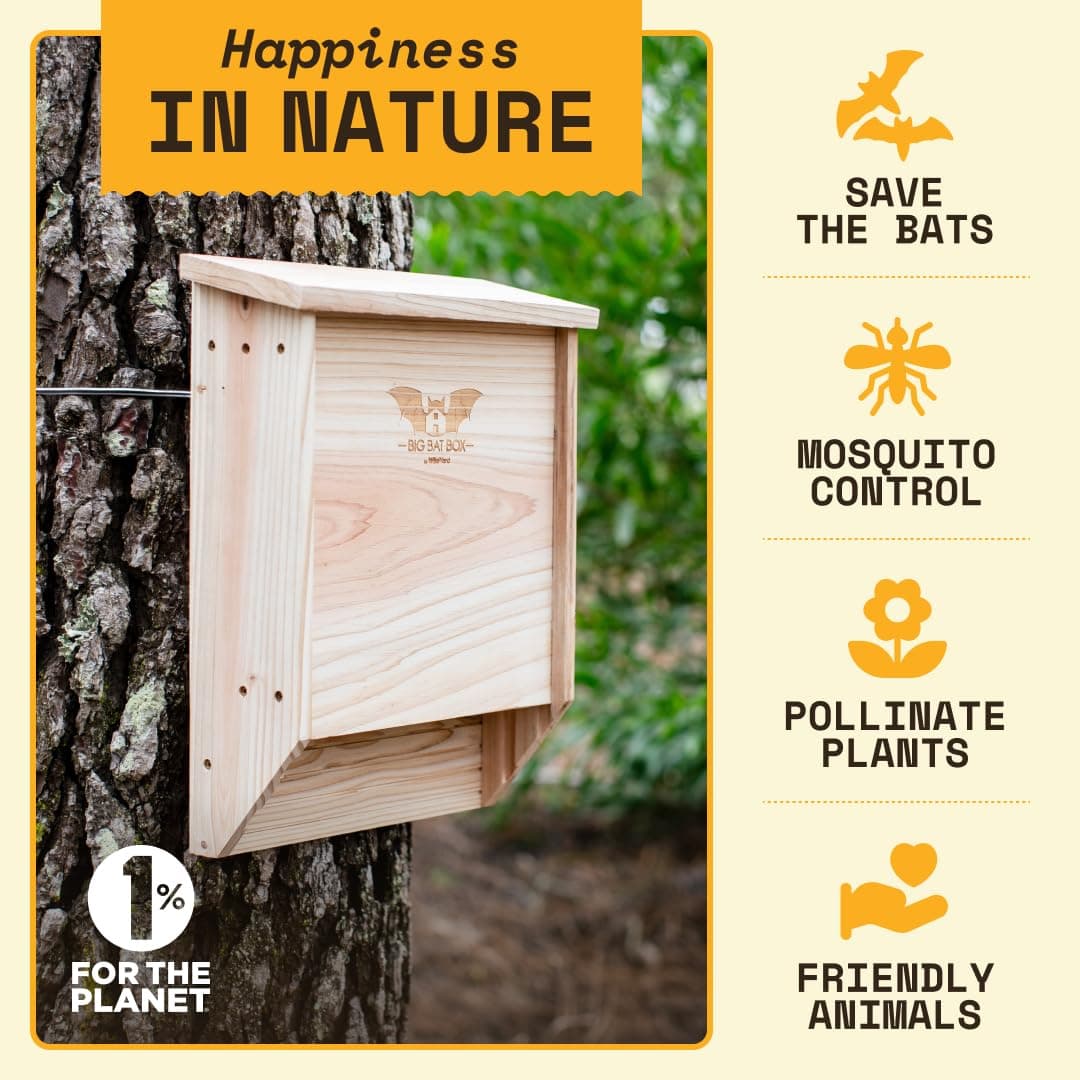 Wildyard Bat House For Outdoors -Casa Completa de Murciélagos para Exteriores - Limpia tu Patio de Mosquitos - Caja de Murciélagos sin Pintura en su Interior — view 2