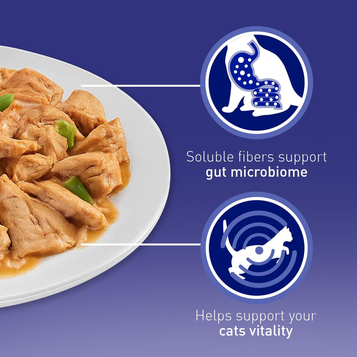 PURINA ONE Mini Fillets Mixed Selection in Gravy Adult Wet Cat Food 40x85g — view 3