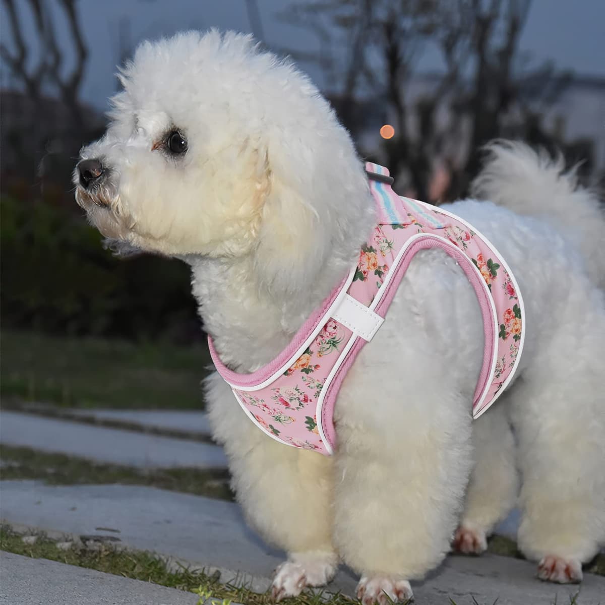 HEELE Arnes Perro Pequeño con Lineas Reflecantes Arnés Perro Antitirones Ajustable Suave Acolchado Cómodo para Viajar Pasear con Mascota, Flores Nanranja, S — view 13