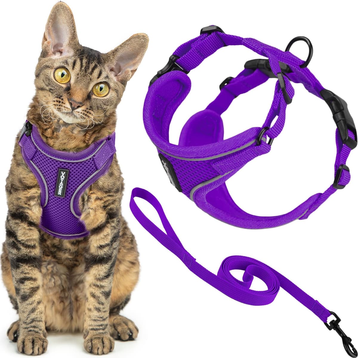 Best Pet Supplies Voyager Step-in Lock Pet Harness – All Weather Mesh, Adjustable Step in Harness for Cats and Dogs Turquoise (Matching Trim), XL (Chest: 22-36") — view 46