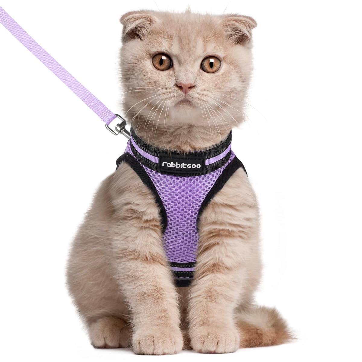 rabbitgoo Cat Harness and Leash Set for Walking Escape Proof, Adjustable Soft Kittens Vest with Reflective Strip for Cats, Comfortable Outdoor Vest, Black, Small — view 16