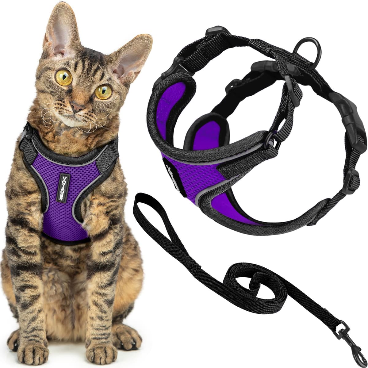Best Pet Supplies Voyager Step-in Lock Pet Harness – All Weather Mesh, Adjustable Step in Harness for Cats and Dogs Turquoise (Matching Trim), XL (Chest: 22-36") — view 18