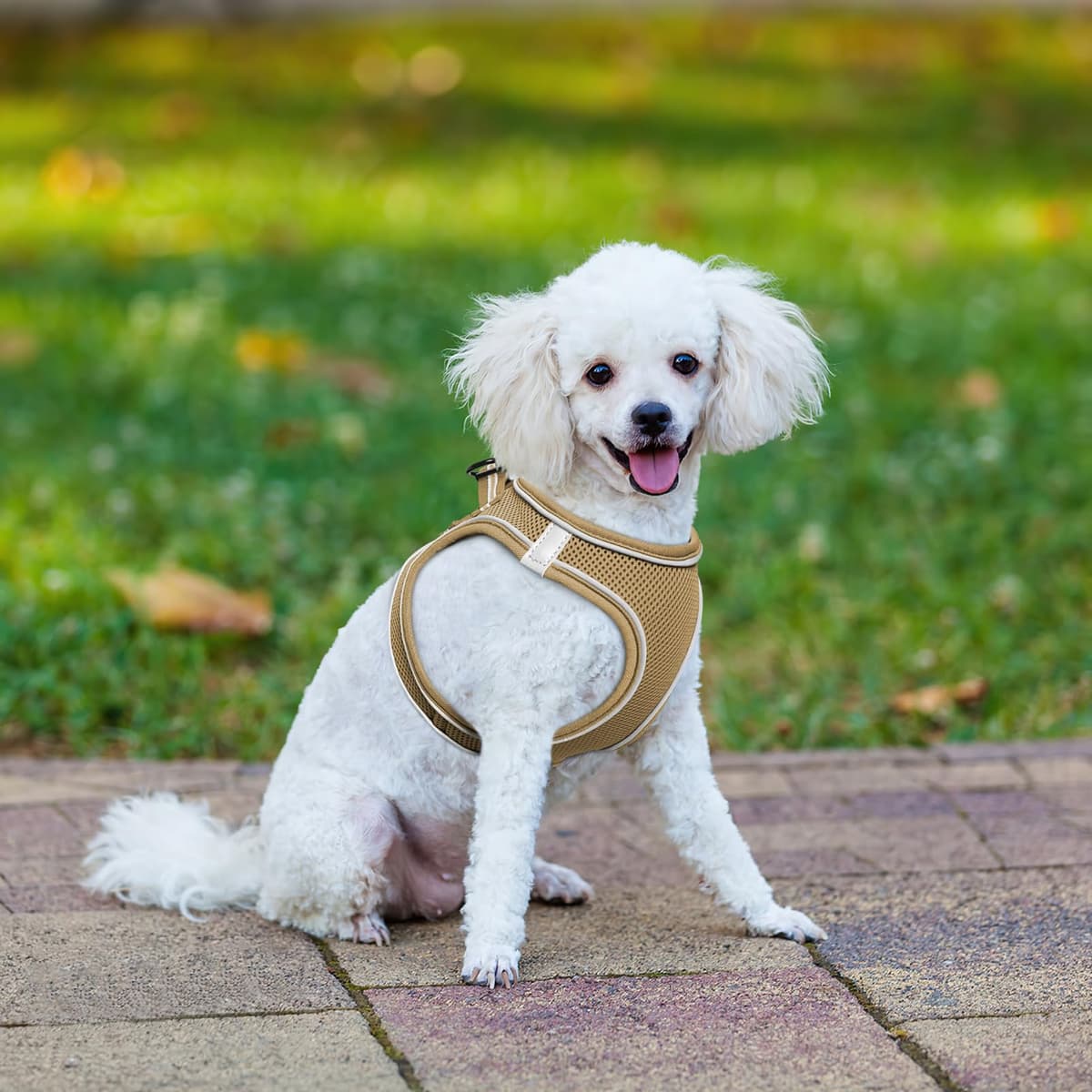 HEELE Arnes Perro Pequeño con Lineas Reflecantes Arnés Perro Antitirones Ajustable Suave Acolchado Cómodo para Viajar Pasear con Mascota, Flores Nanranja, S — view 60