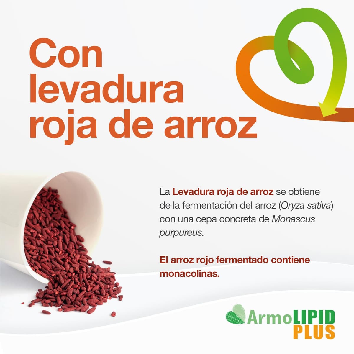 ArmoLIPID PLUS - Complemento Alimenticio Para el Control del Colesterol y de los Triglicéridos, Con Levadura Roja de Arroz, Berberina, Coenzima Q10, Astaxantina y Ácido Fólico, 60 Comprimidos — view 5