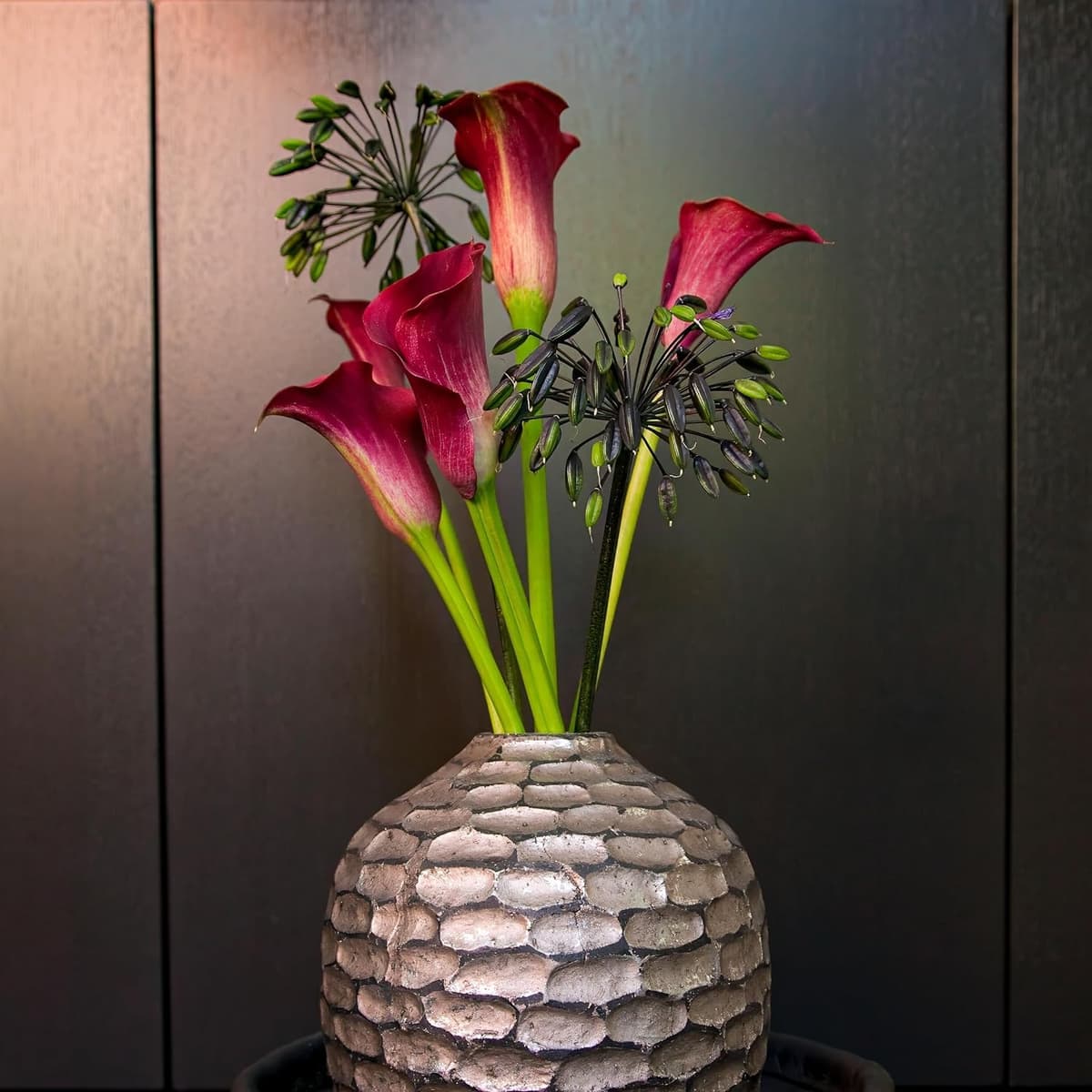 Zantedeschia Calla Lirio Pasión Roja - 5 Bulbos de Flores Exterior - Plantas Naturales Exterior de Holanda - Plantas de Exterior Resistentes - Decoracion Jardin - Sin Semillas, No Artificiales — view 4