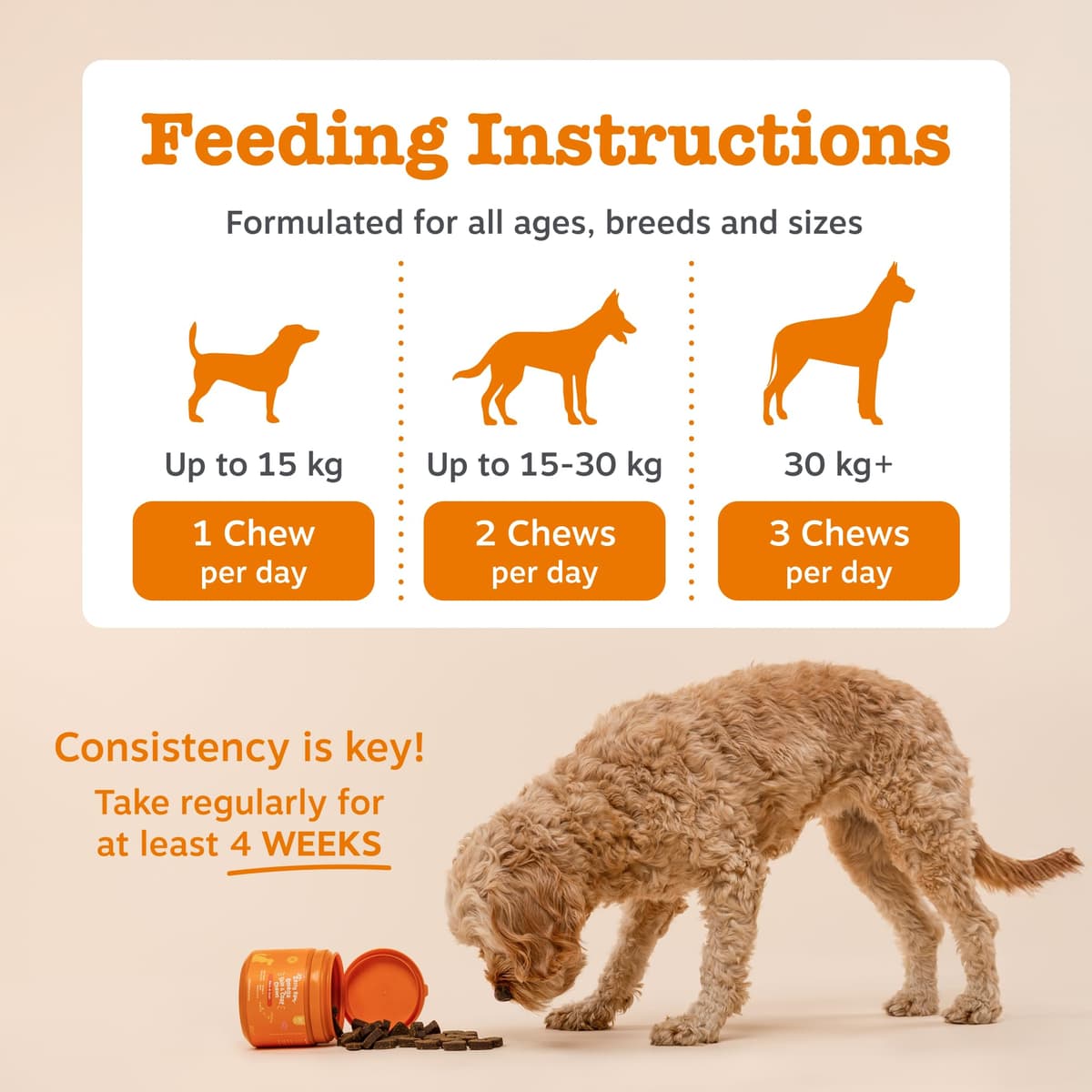 Zesty Paws Aller-Immune Chews for Dogs | Supports Immune Function, Helps Gut, Skin & Coat Health, For Itchy, Dry Skin | Contains Salmon Oil, Prebiotics, Probiotics, Vitamin A | Daily Use | 90 Chews — view 5