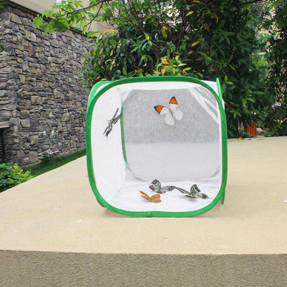 POFET Insect Butterfly Garden Mesh Net Cage, Transparent Small Perching Butterfly Cage,Collapsible Pop-up Insect House (30 x 30 x 30cm) — view 5