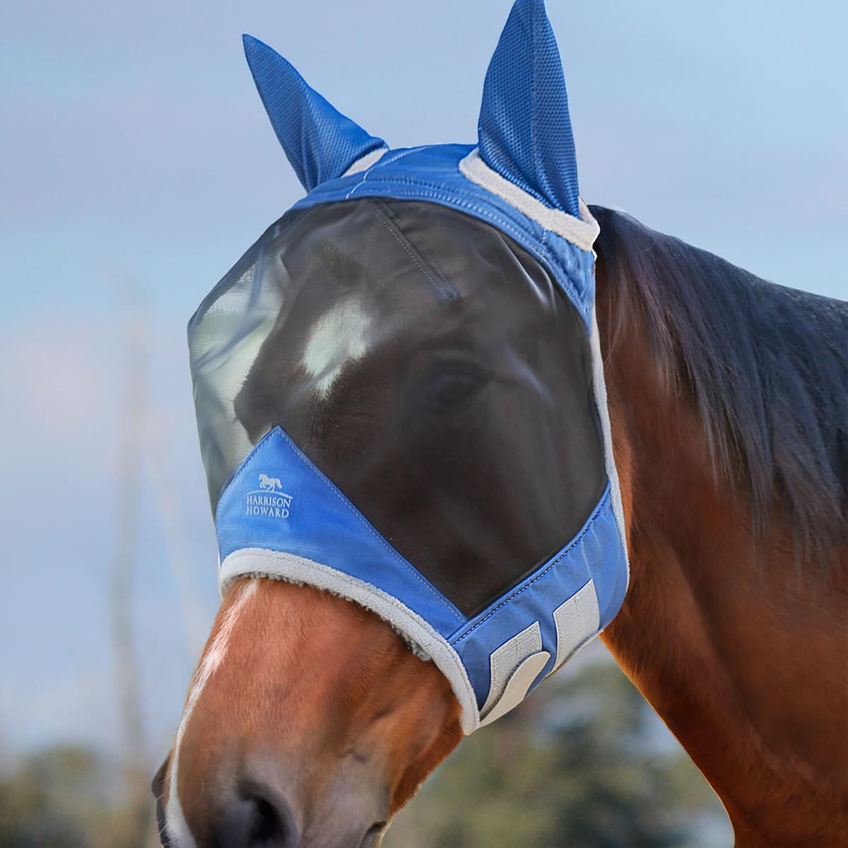 Harrison Howard CareMaster Pro Luminous Fine Mesh UV-proof Fleece Padding Fly Mask Half Face Aquamarine (M; Cob)
