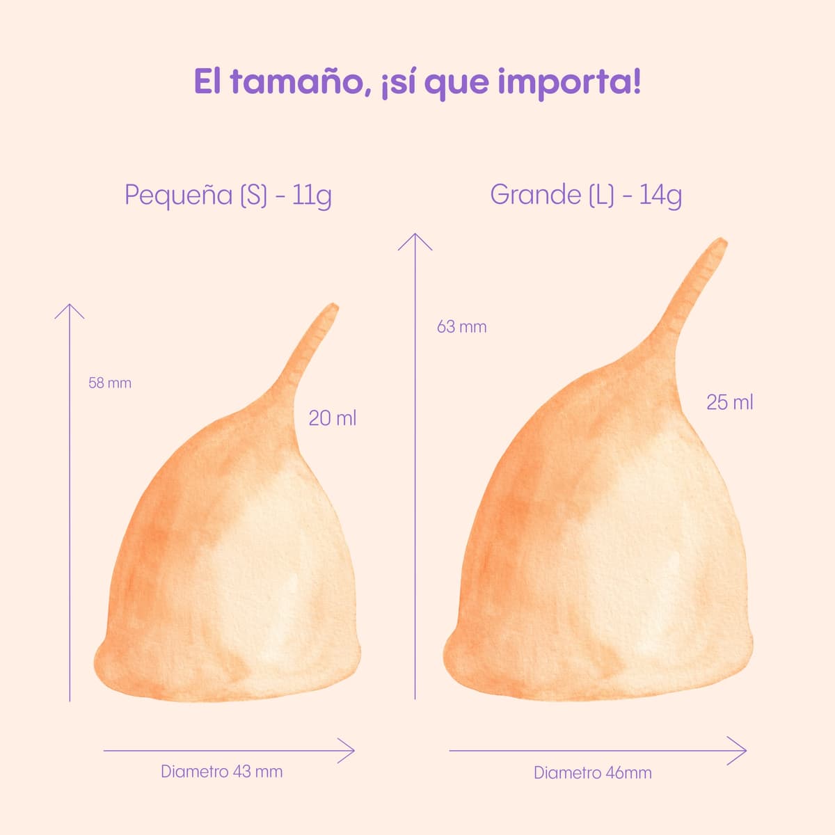 Copa Menstrual Anatómica Más Cómoda, Más flexible Para Mujeres con Sensibilidad Vaginal - Reutilizable con Vaso Esterilizador Plegable para Microondas (L con esterilizador) — view 3