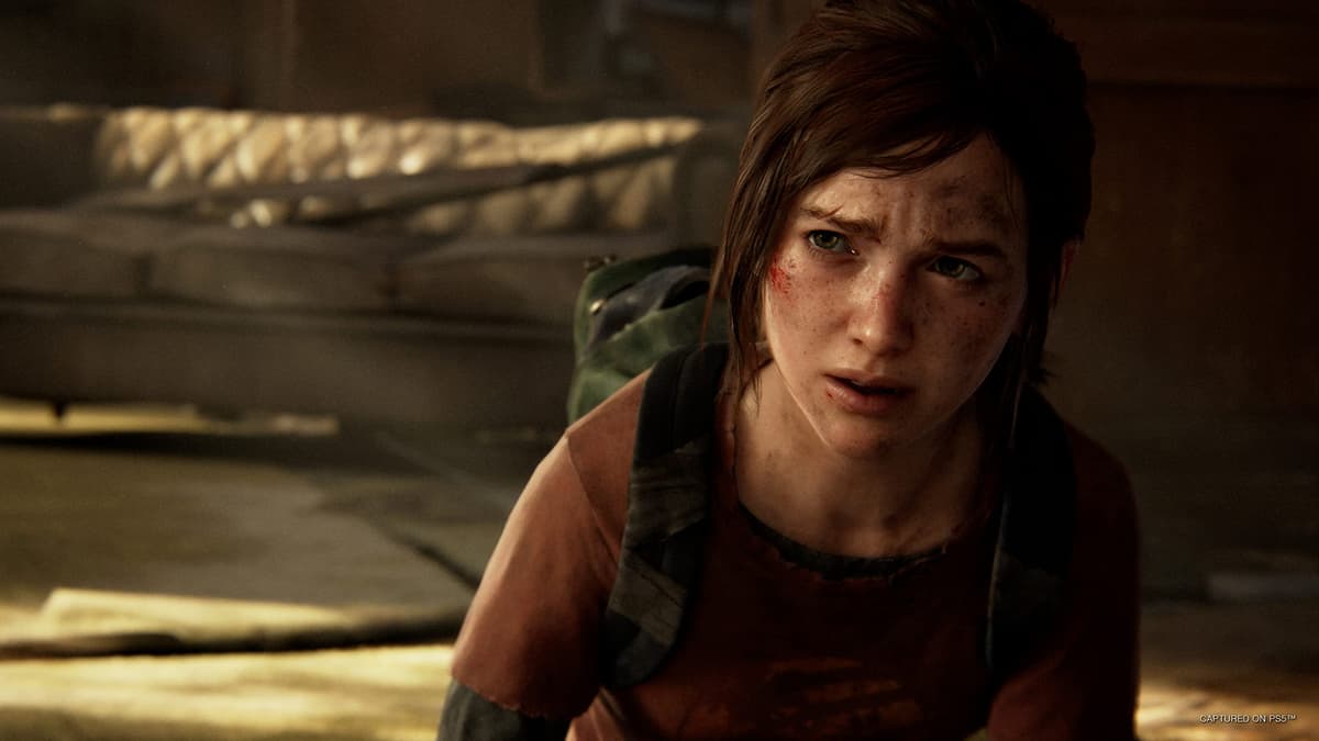 The Last of Us Part 1 — view 3