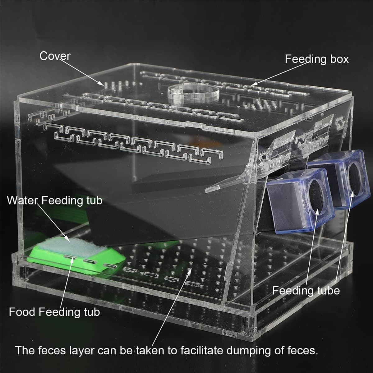 aqxreight Bolígrafo Acrílico para Grillos con Tubos, Kit para el Cuidado de Cucarachas, Cajas para Reptiles, Insectos, un Kit de Cuidado para Grillos, Portero de Críquet, Portero de Críquet con (#2) — view 2