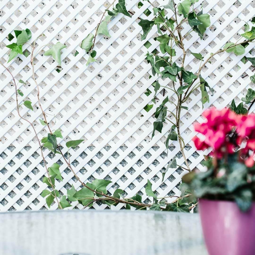 Nortene | Celosia Pvc 18 Mm 1x2 M Blanco | Decoración Exterior | Jardinería | Perfecto Para Ambientes Modernos