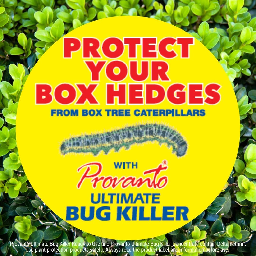 Provanto Ultimate Bug Killer, 1L - Fast Acting Bug Spray with Up To 2 Weeks Protection From Pests, Contact Insecticide for Indoor & Outdoor Plants — view 5