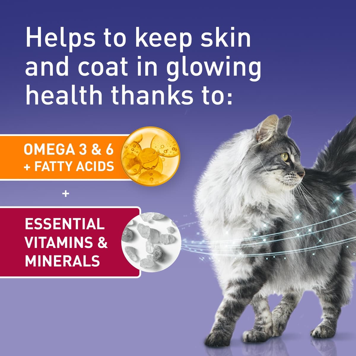 PURINA ONE Mini Fillets Mixed Selection in Gravy Adult Wet Cat Food 40x85g — view 5