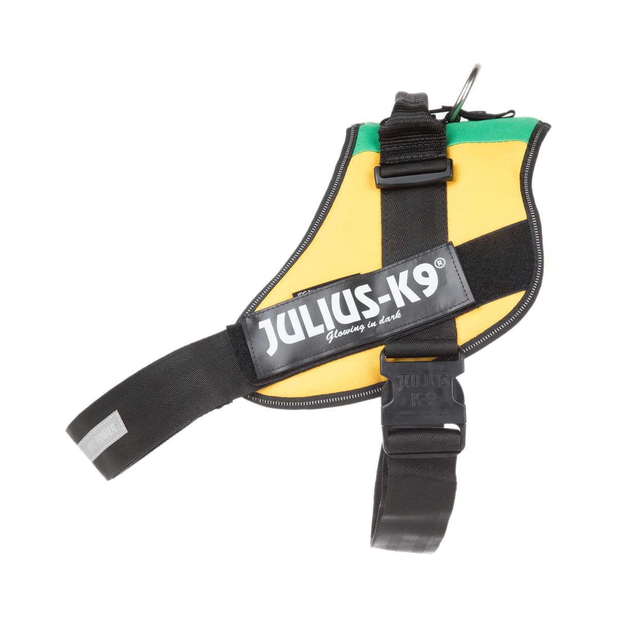 Julius-K9, 16IDC-AM-M, IDC Powerharness, dog harness, Size: Mini, Aquamarine — view 197