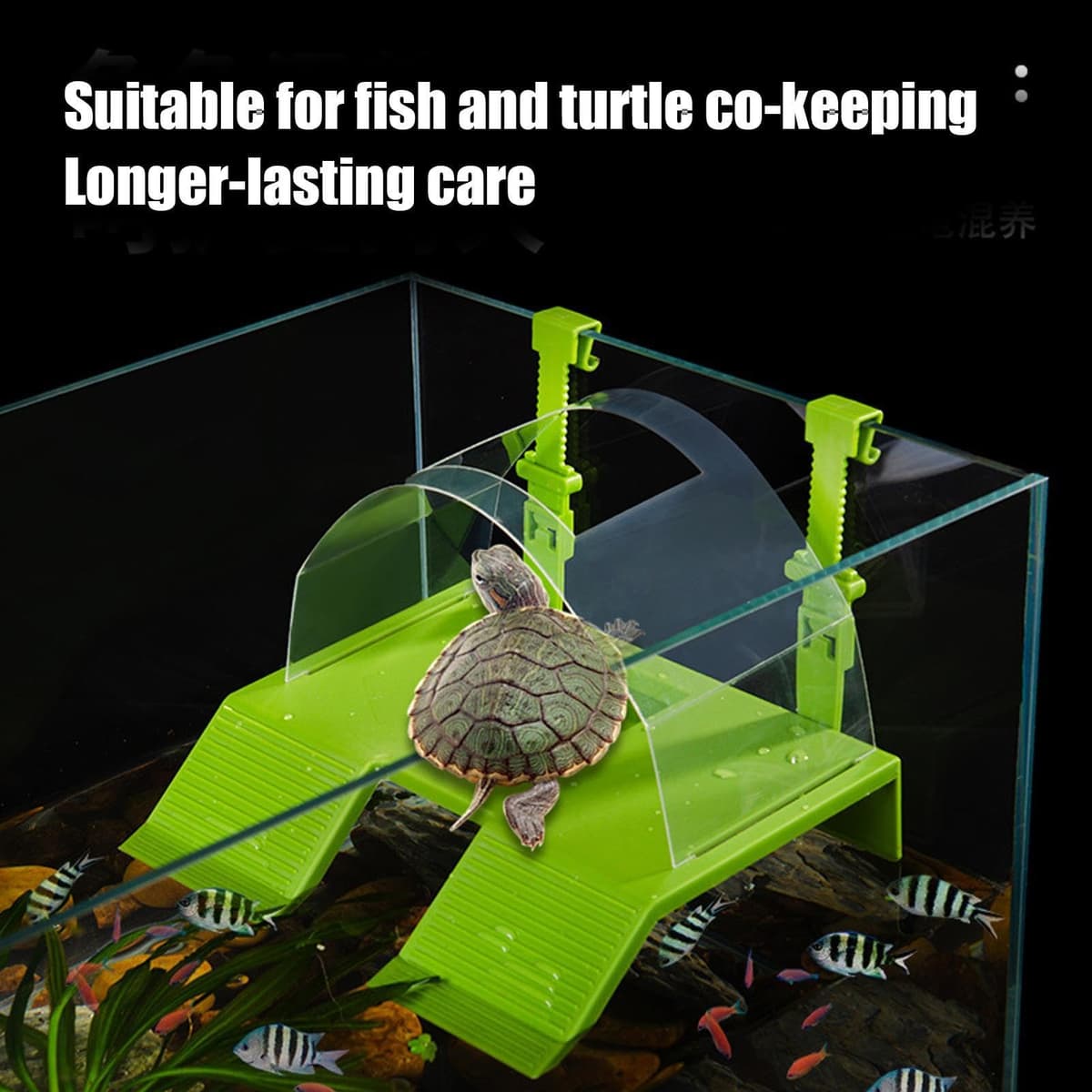 Plataforma De Asoleamiento Tortugas,Doble Escalera Reptil Descanso | Zona Asolamiento Reptiles - para Criadores, Dueños Mascotas, Amantes Animales, Terrarios, Tiendas, Hogar, Oficina y Recintos y los — view 5