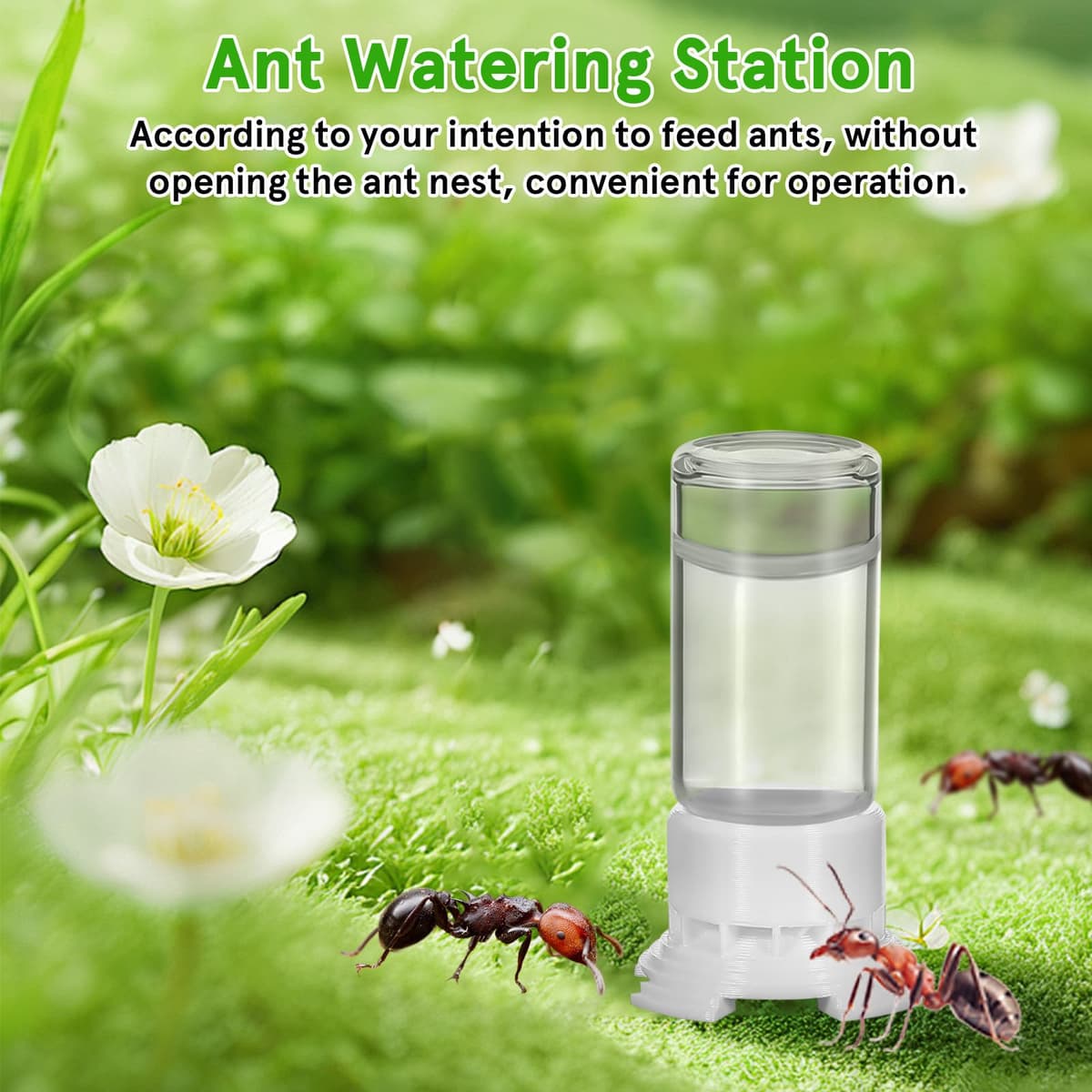 HEMOTON Bebedero para Hormigas 2 Piezas 5 Ml Plástico y Acrílico Transparente Taza Pequeña para Nido Comedero Agua Portátil para Cuidado y Alimentación de Colonias en Terrarios — view 2