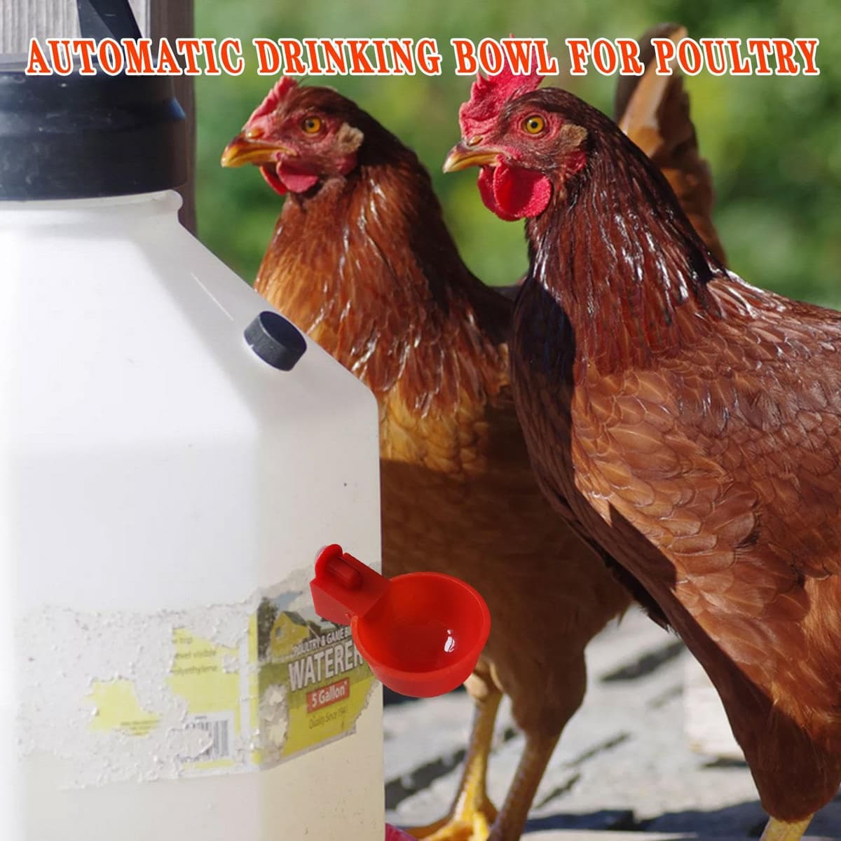 5 piezas tazas bebedoras de pollo - kit de alimentación acuática automática | sin herramientas Instale tazones de beber para pollo, patos, pájaros, pavos y más — view 3