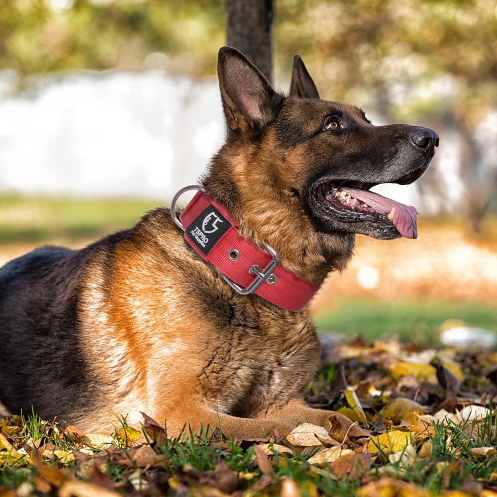 TSPRO Collar Táctico para Perros Ajustable, Collares con Broche de Metal Robusto, de 3,8 cm de Ancho, Duradero y Cómodo para Perros Medianos y Grandes (Rojo M) — view 6