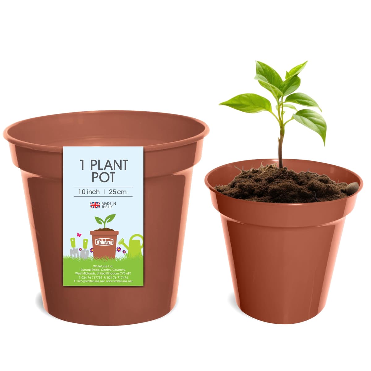 Whitefurze - Basic Plant Pots - Indoor Plant Pots - Flower Pots for Small Plants, Cuttings & Seedlings - Durable Polypropylene Plant Pots for Indoor & Outdoor Use, 15cm Diameter - Set of 3 — view 17