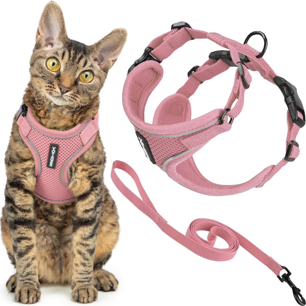Best Pet Supplies Voyager Step-in Lock Pet Harness – All Weather Mesh, Adjustable Step in Harness for Cats and Dogs Turquoise (Matching Trim), XL (Chest: 22-36") — view 56