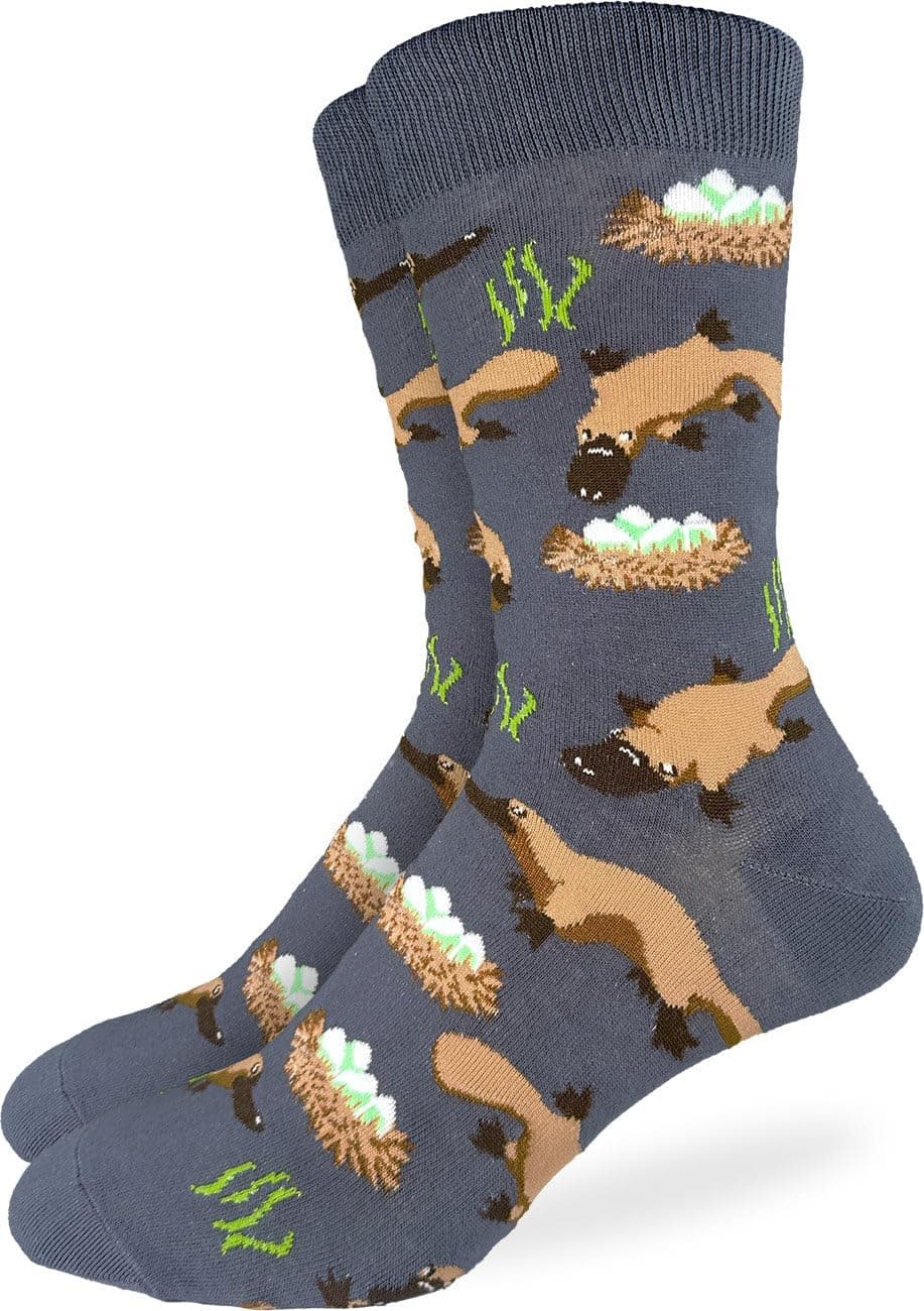 Good Luck Sock Women's Floral Dinosaurs Socks, Shoe Size 5-9 — view 38