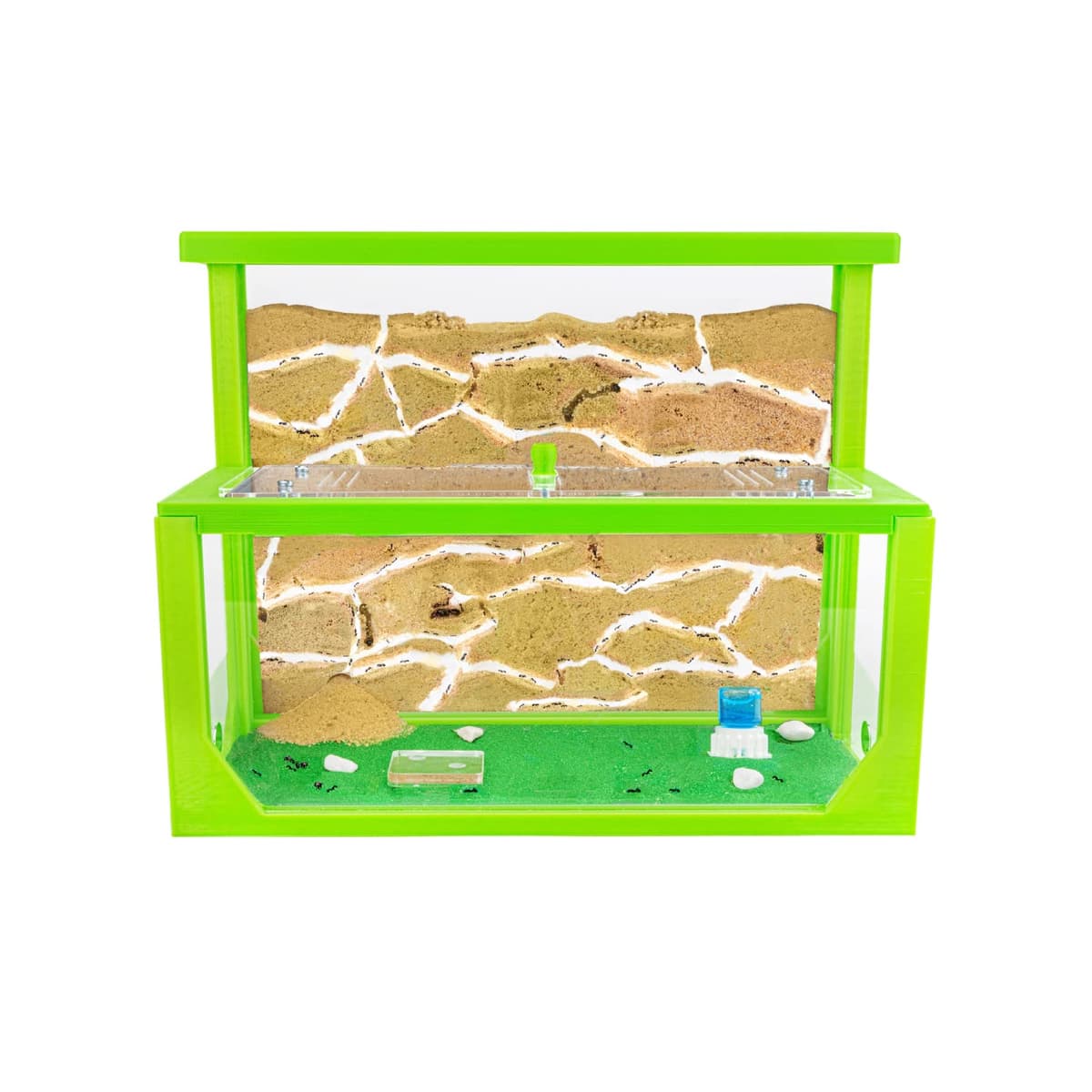 Anthouse.es - Hormiguero Natural de Arena - Kit Hormiguero 3D Forma de L (Sándwich + Caja de Forrajeo) - Granja de Hormigas con Colonia de Hormigas Incluida - 25x20x1 cm y 10x24x10 cm - Azul — view 9