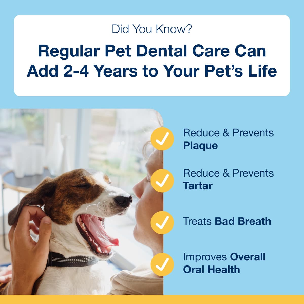 ProDen PlaqueOff Dental Bites Bundle for Small Dogs - Tartar & Bad Breath Remover 100% Natural Teeth Cleaner - Improve Overall Oral Health - 60g — view 4