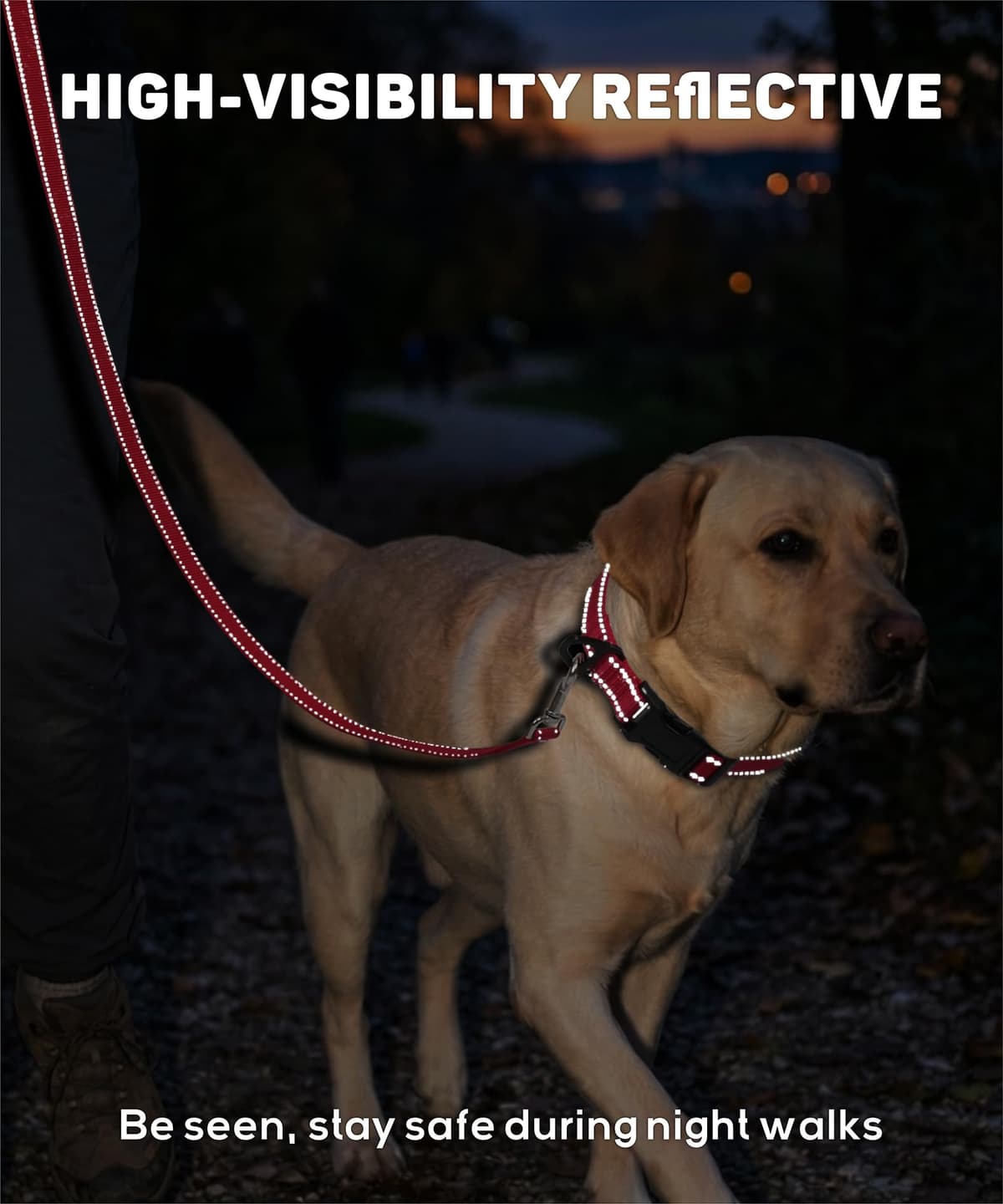 TagME Collar Perro Ajustable,Collar Nylon Reflectante,para Caminar Correr Entrenamiento,para Perros Grandes,Caqui,2.5cm De Ancho — view 3