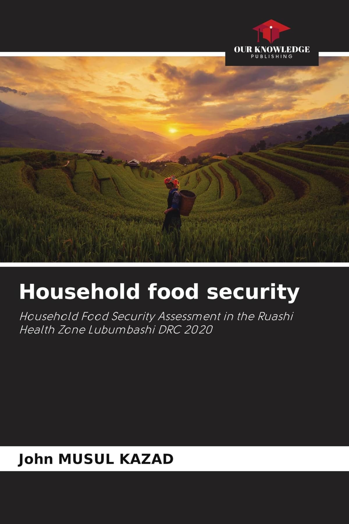 Household food security: Household Food Security Assessment in the Ruashi Health Zone Lubumbashi DRC 2020