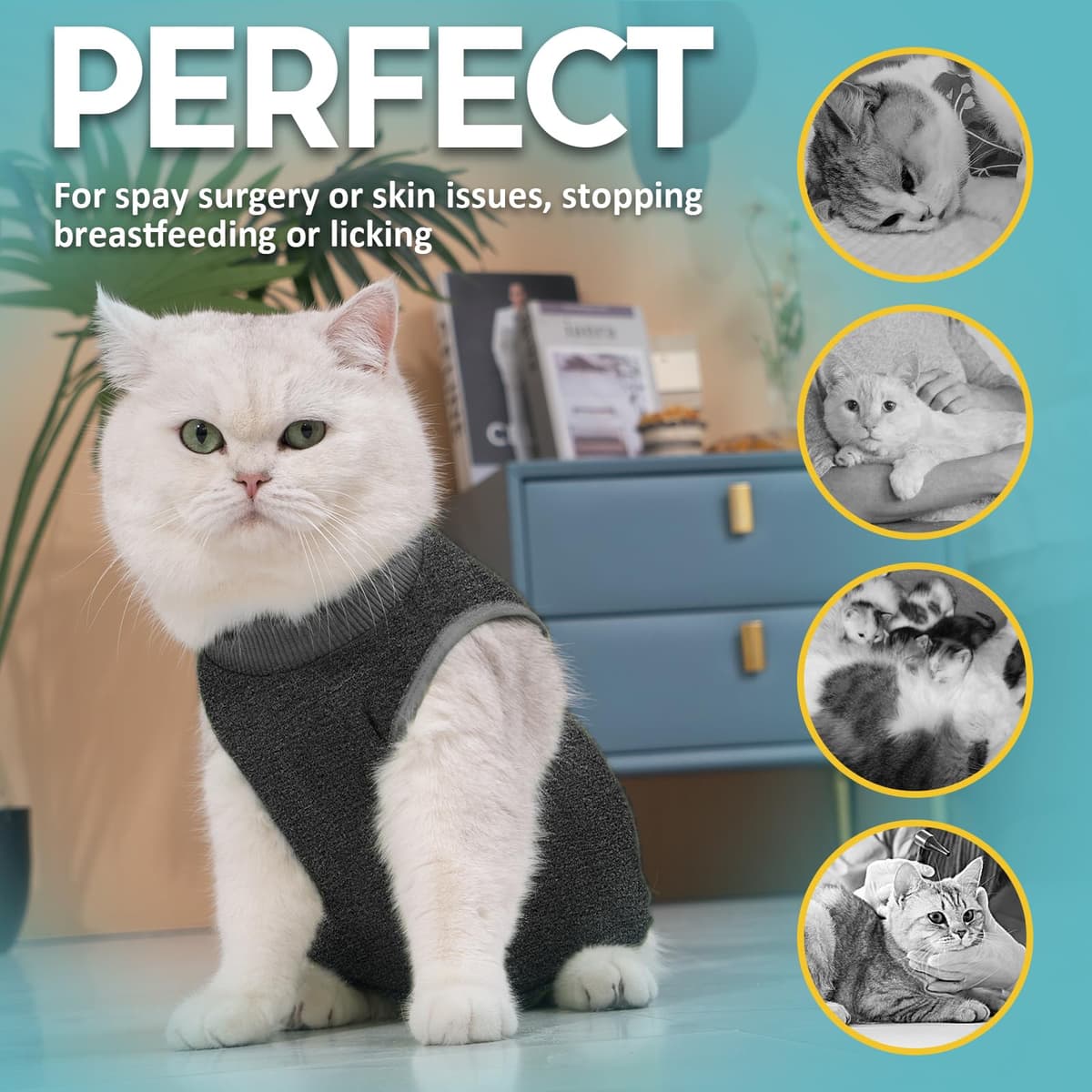 Avont Traje de Recuperación para Gatas Esterilizadas, Ropa Postoperatoria Protectora Antilamido, Chaleco para Cirugía y Heridas Abdominales (Gris Oscuro,L) — view 4