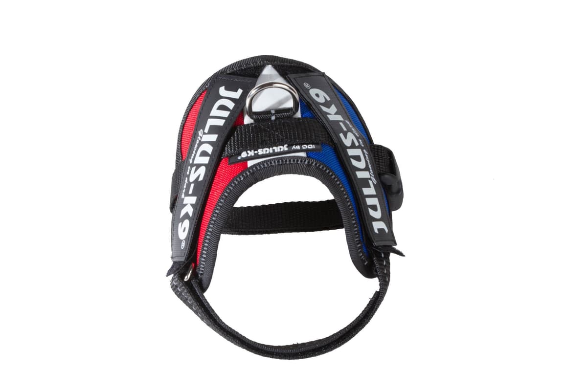 Julius-K9, 16IDC-AM-M, IDC Powerharness, dog harness, Size: Mini, Aquamarine — view 174
