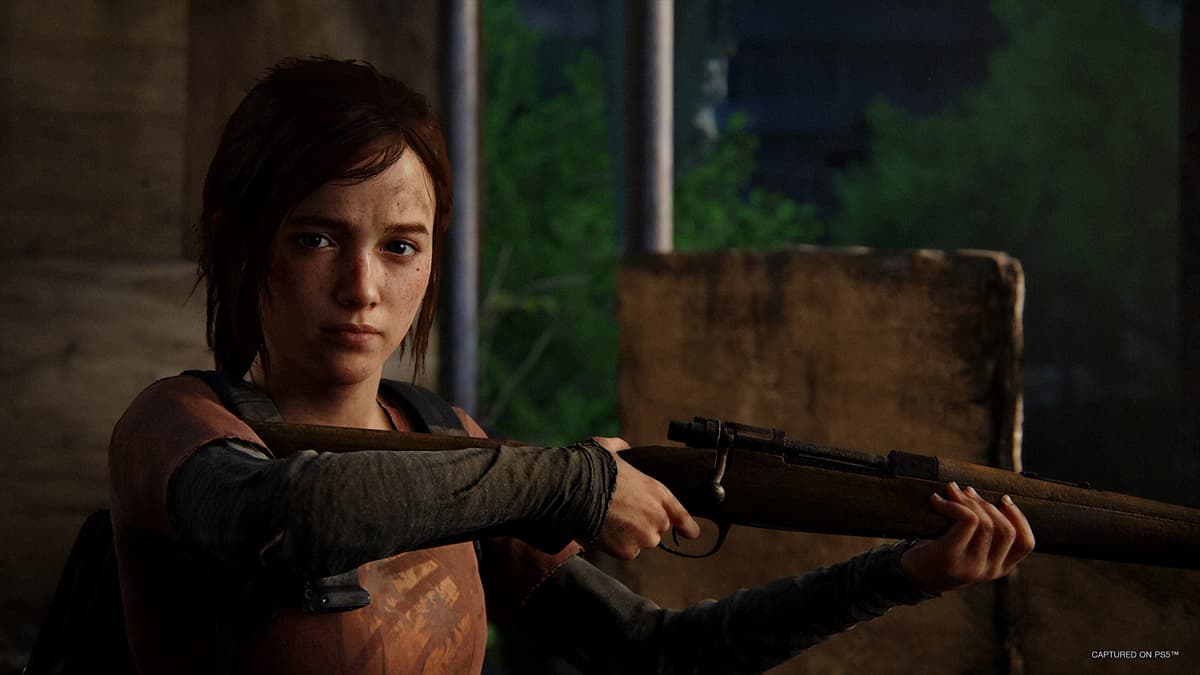 The Last of Us Part 1 — view 2