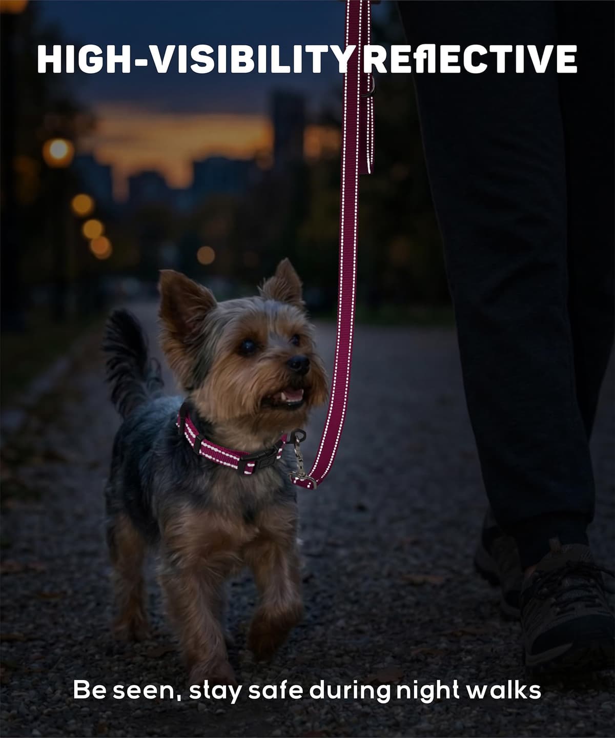 TagME Collar Perro Ajustable,Collar Nylon Reflectante,para Caminar Correr Entrenamiento,para Cachorro,Morado,1.0cm De Ancho — view 4