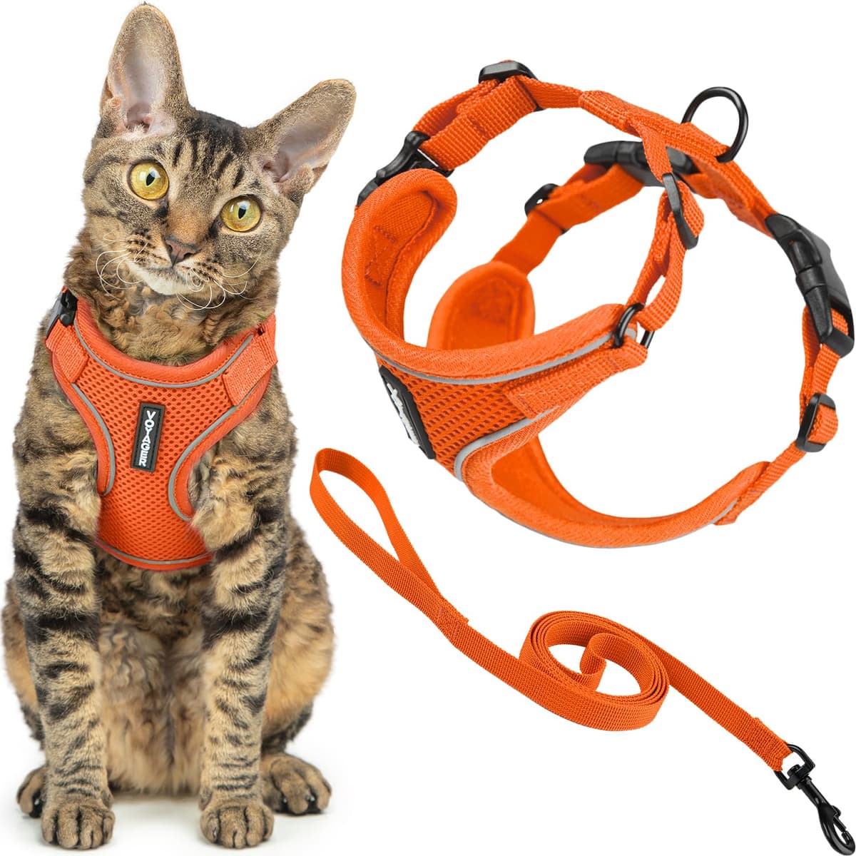 Best Pet Supplies Voyager Step-in Lock Pet Harness – All Weather Mesh, Adjustable Step in Harness for Cats and Dogs Turquoise (Matching Trim), XL (Chest: 22-36") — view 26